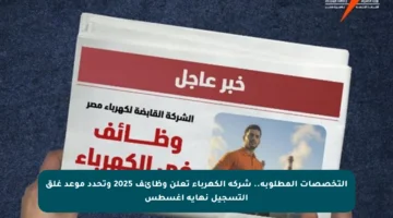 التخصصات المطلوبة.. شركة الكهرباء تعلن وظائف 2025 وتحدد موعد غلق التسجيل نهاية أغسطس